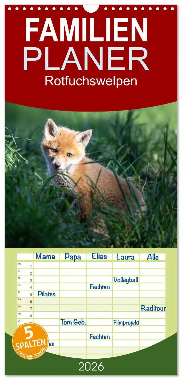 Cover: 9783516508840 | Familienplaner 2026 - Rotfuchswelpen mit 5 Spalten (Wandkalender,...