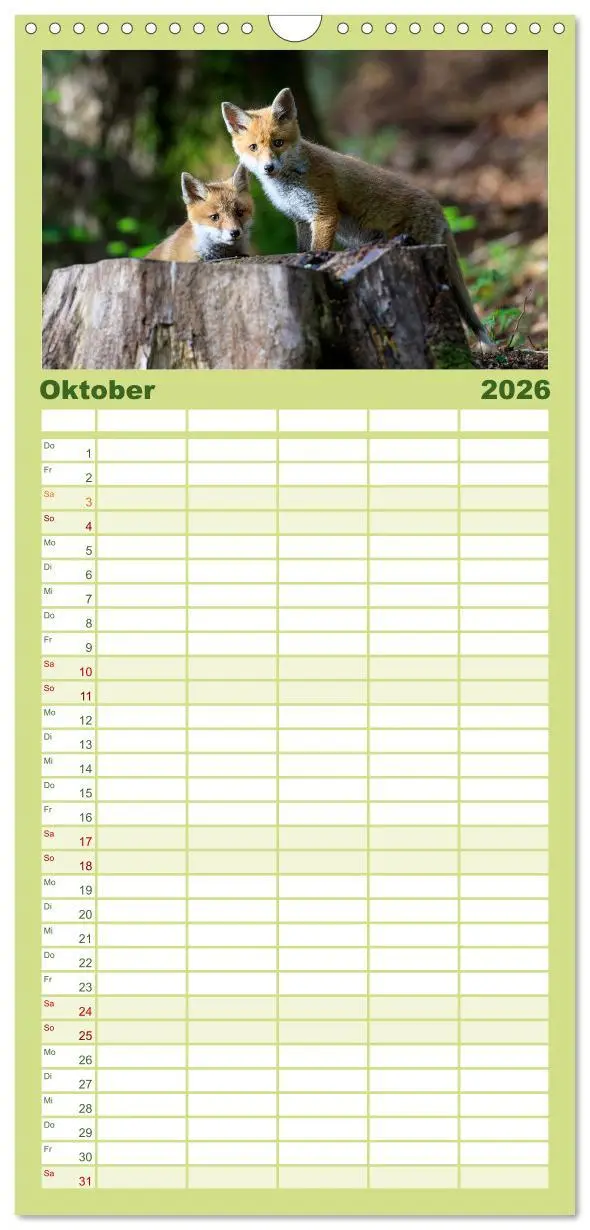 Bild: 9783516508840 | Familienplaner 2026 - Rotfuchswelpen mit 5 Spalten (Wandkalender,...