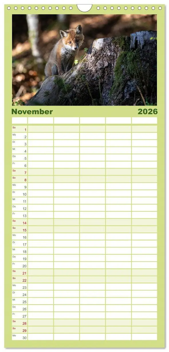 Bild: 9783516508840 | Familienplaner 2026 - Rotfuchswelpen mit 5 Spalten (Wandkalender,...