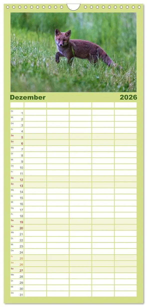 Bild: 9783516508840 | Familienplaner 2026 - Rotfuchswelpen mit 5 Spalten (Wandkalender,...