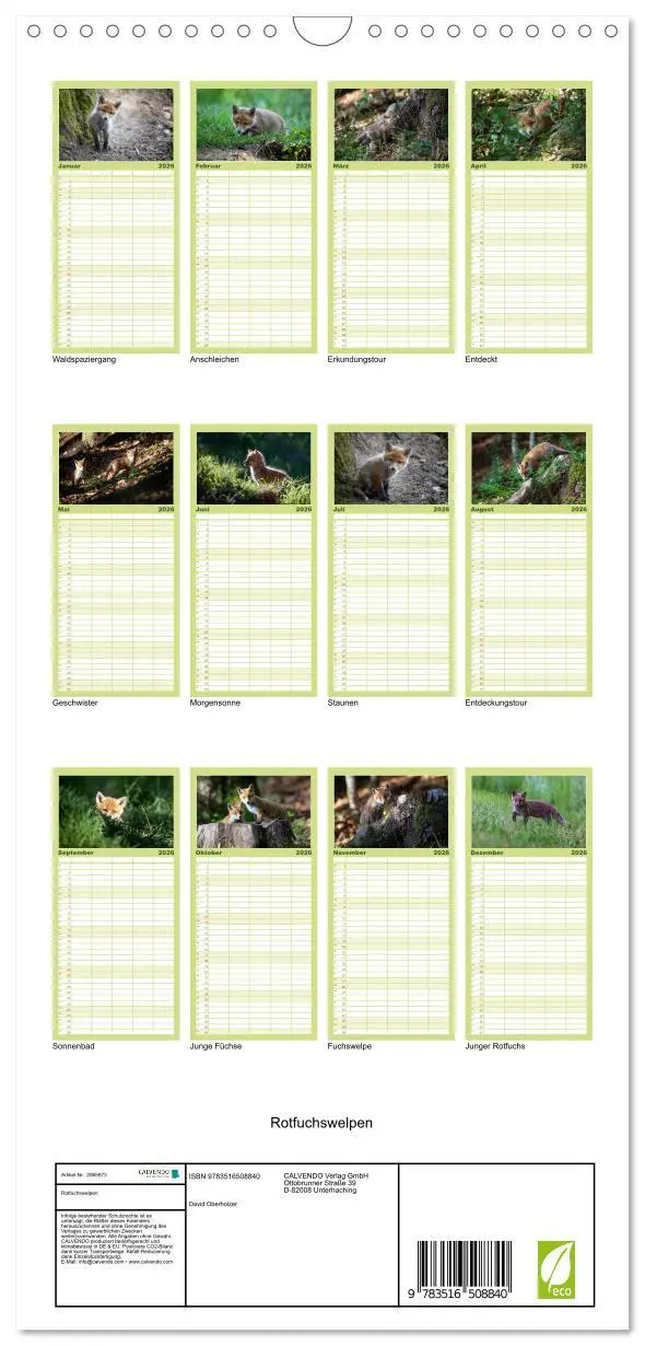 Bild: 9783516508840 | Familienplaner 2026 - Rotfuchswelpen mit 5 Spalten (Wandkalender,...
