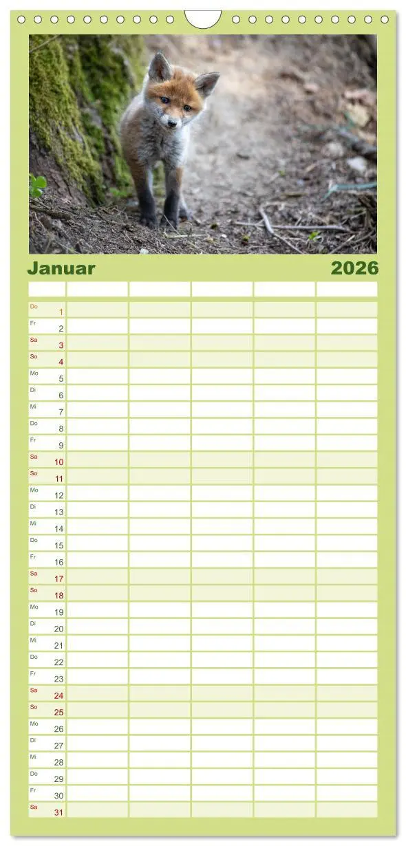Bild: 9783516508840 | Familienplaner 2026 - Rotfuchswelpen mit 5 Spalten (Wandkalender,...