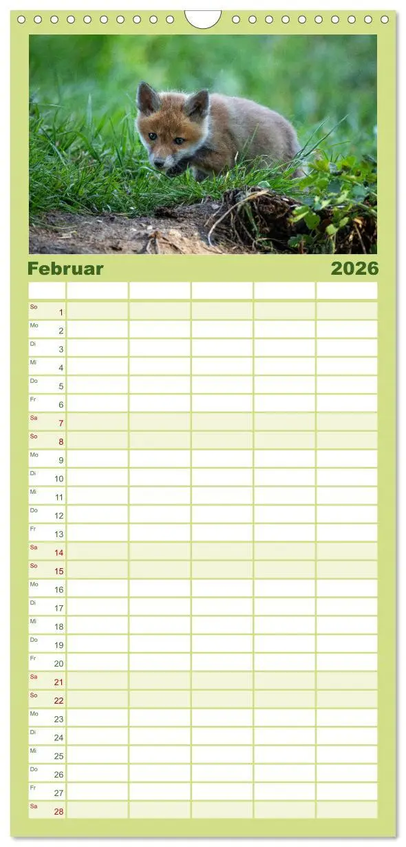 Bild: 9783516508840 | Familienplaner 2026 - Rotfuchswelpen mit 5 Spalten (Wandkalender,...