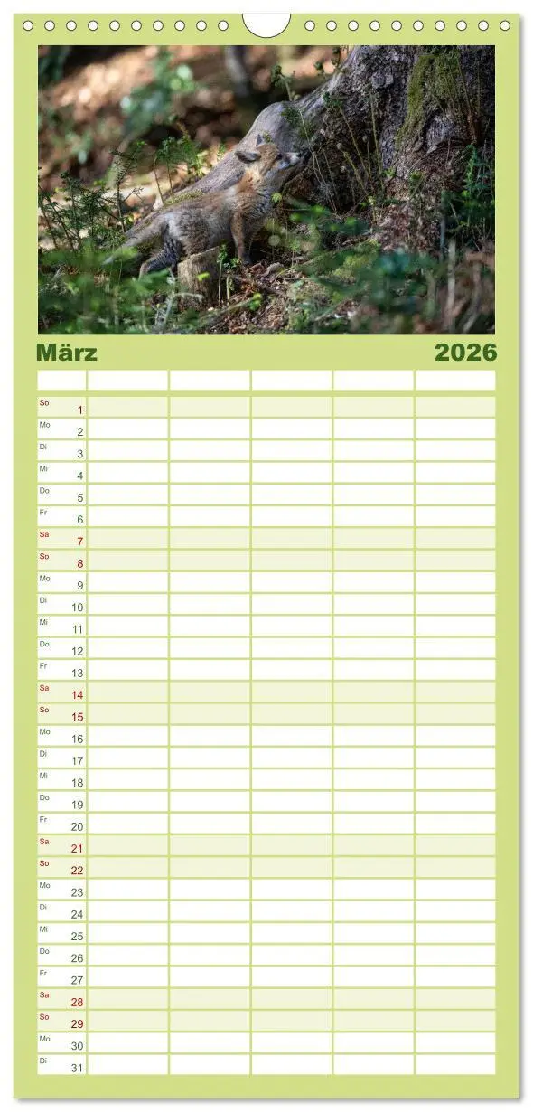Bild: 9783516508840 | Familienplaner 2026 - Rotfuchswelpen mit 5 Spalten (Wandkalender,...