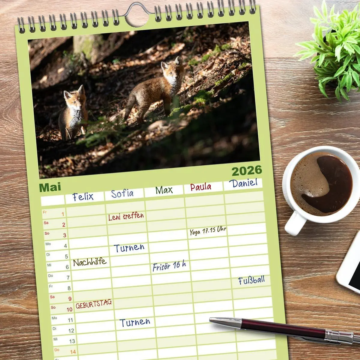 Bild: 9783516508840 | Familienplaner 2026 - Rotfuchswelpen mit 5 Spalten (Wandkalender,...