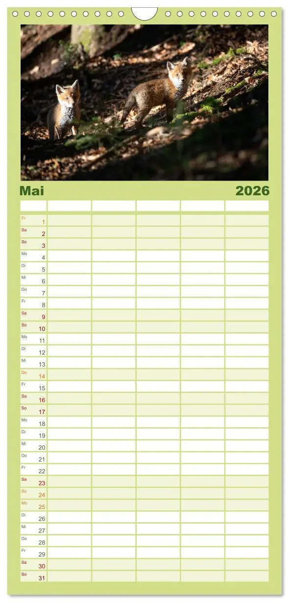 Bild: 9783516508840 | Familienplaner 2026 - Rotfuchswelpen mit 5 Spalten (Wandkalender,...
