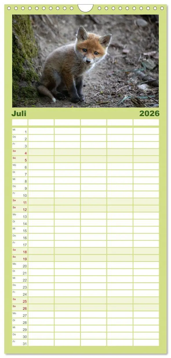 Bild: 9783516508840 | Familienplaner 2026 - Rotfuchswelpen mit 5 Spalten (Wandkalender,...