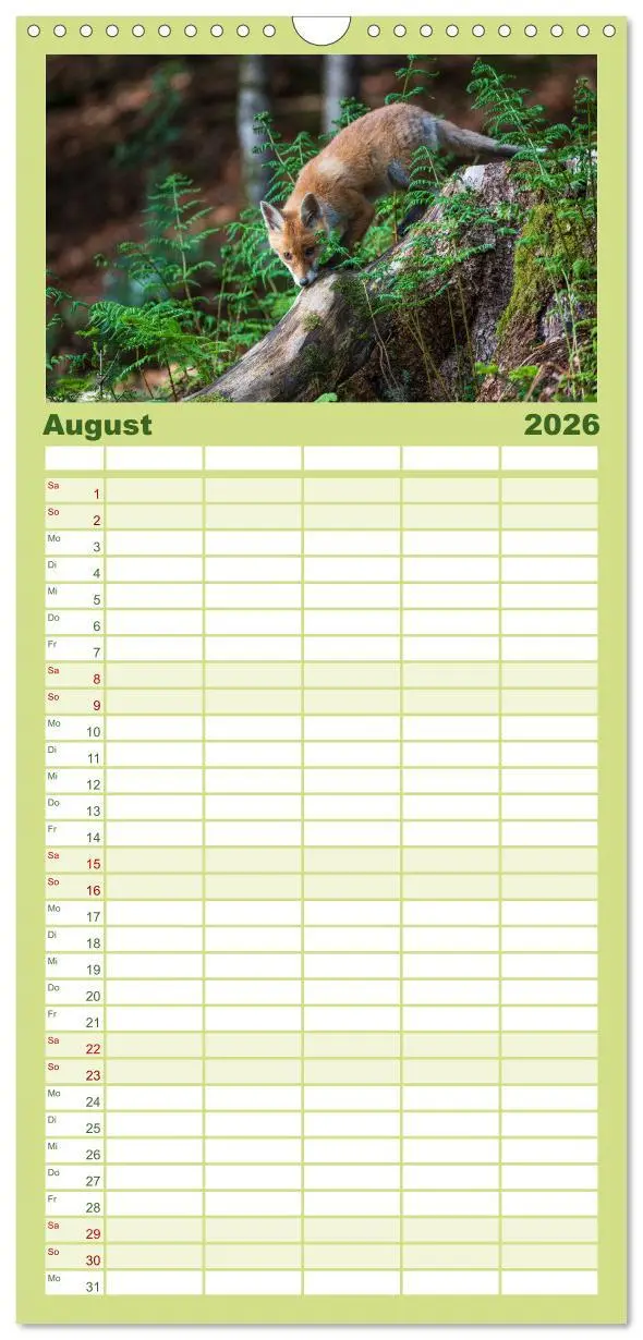 Bild: 9783516508840 | Familienplaner 2026 - Rotfuchswelpen mit 5 Spalten (Wandkalender,...