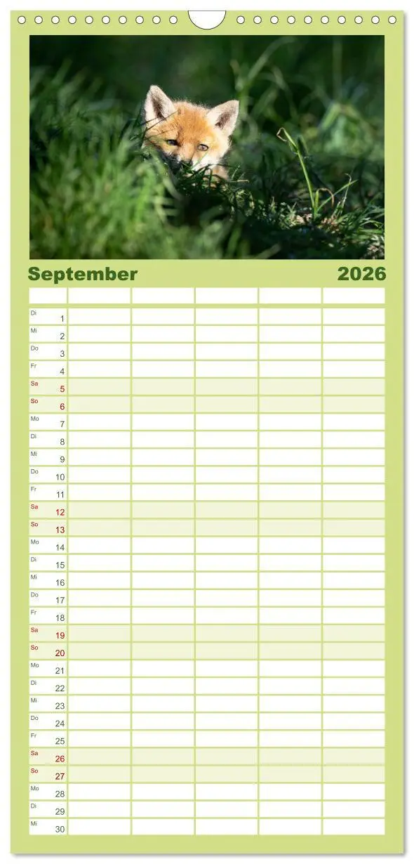 Bild: 9783516508840 | Familienplaner 2026 - Rotfuchswelpen mit 5 Spalten (Wandkalender,...