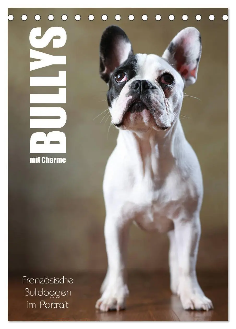 Cover: 9783435999040 | Bullys mit Charme - Französische Bulldoggen im Portrait...