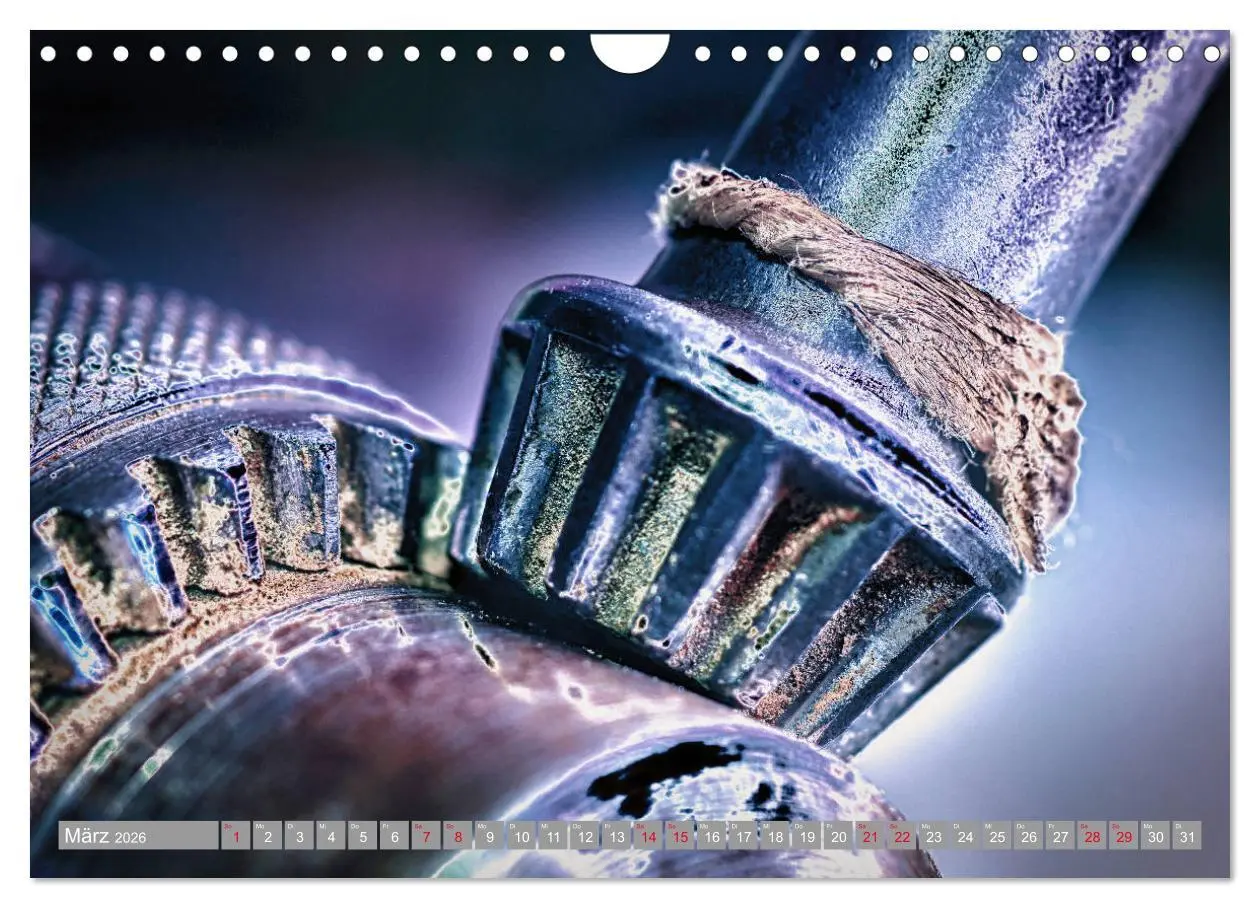 Bild: 9783457779040 | Lebensfreude Werkzeuge (Wandkalender 2026 DIN A4 quer), CALVENDO...
