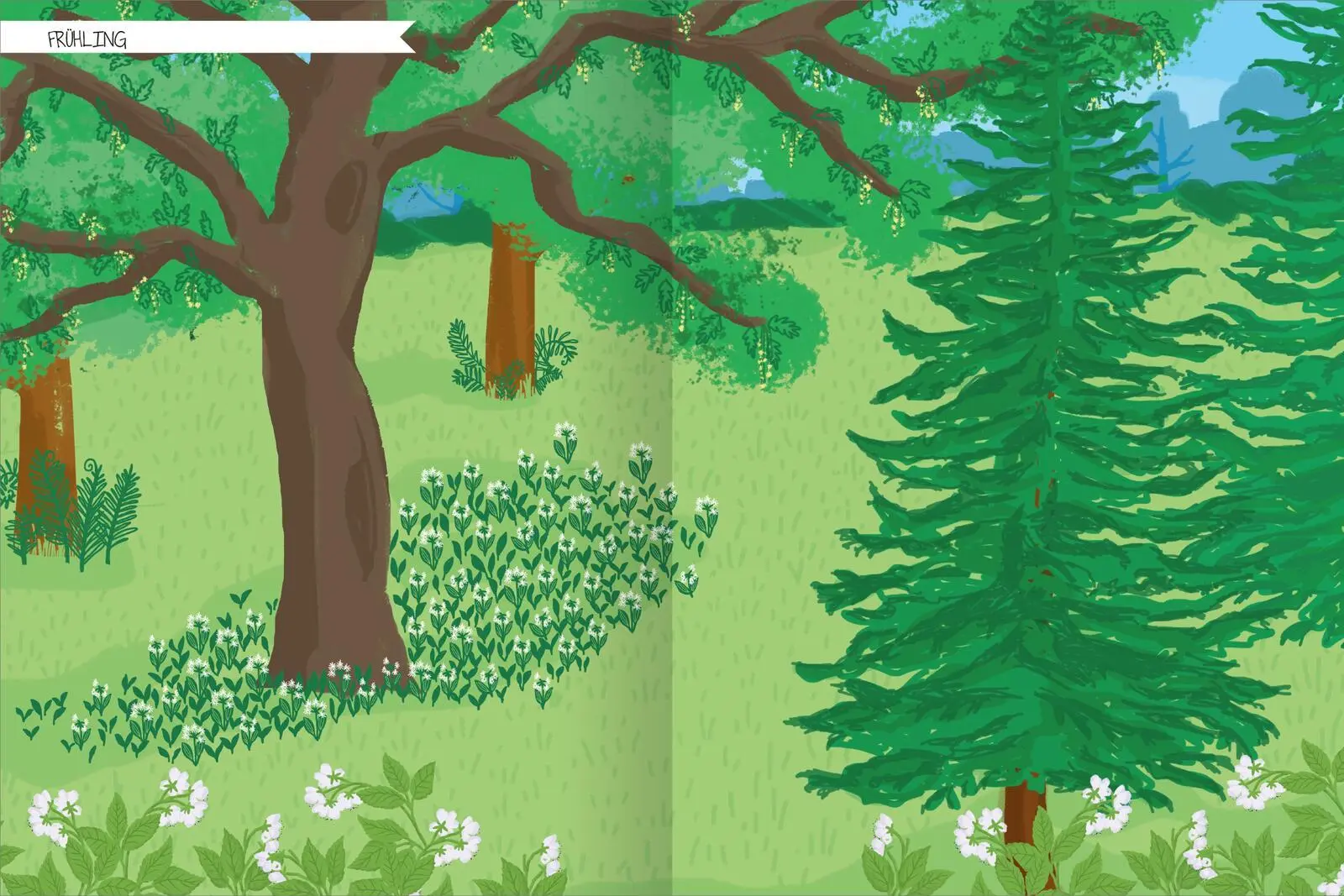 Bild: 9783845859040 | Naturforscher-Kids - Stickerheft Im Wald | Über 300 Sticker | 40 S.