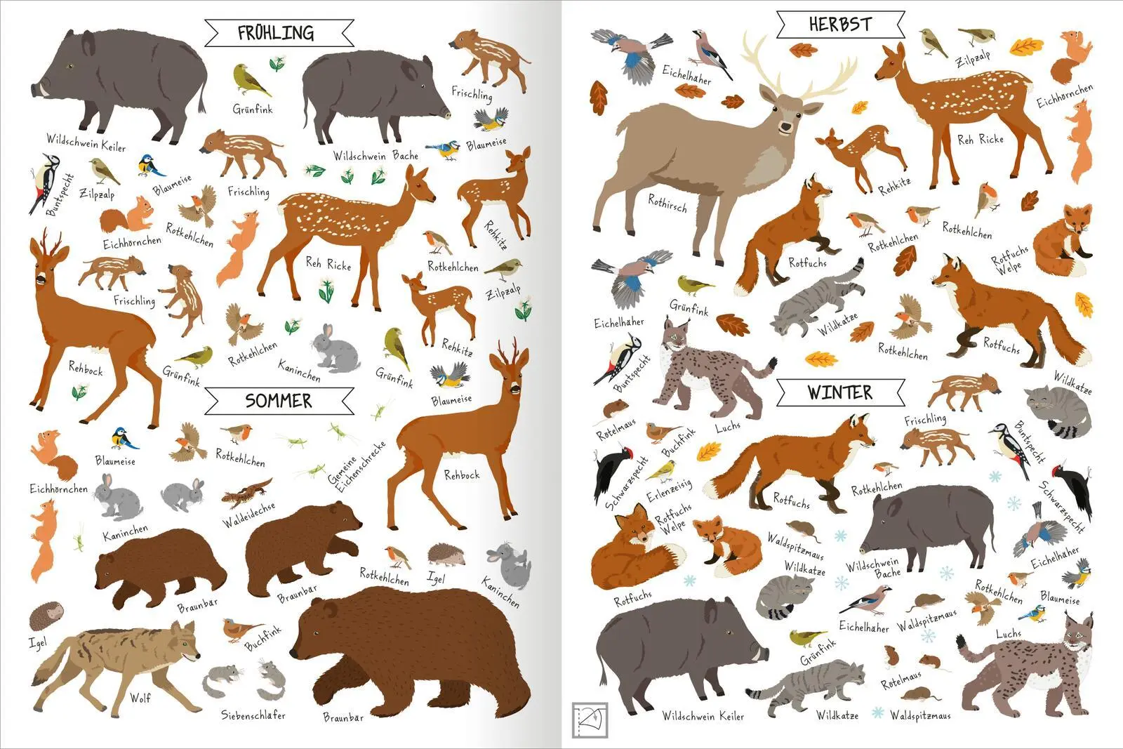 Bild: 9783845859040 | Naturforscher-Kids - Stickerheft Im Wald | Über 300 Sticker | 40 S.