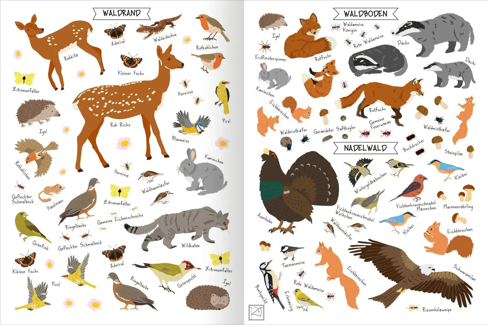Bild: 9783845859040 | Naturforscher-Kids - Stickerheft Im Wald | Über 300 Sticker | 40 S.