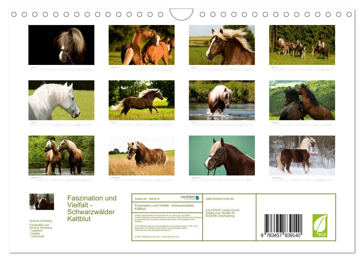 Bild: 9783457839140 | Faszination und Vielfalt - Schwarzwälder Kaltblut (Wandkalender...