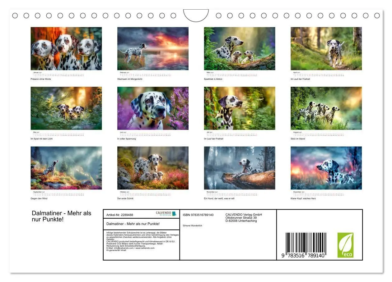 Bild: 9783516789140 | Dalmatiner - Mehr als nur Punkte! (Wandkalender 2027 DIN A4 quer),...