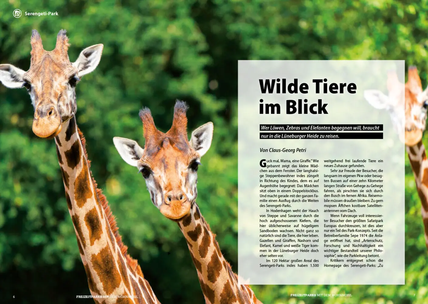 Bild: 9783948979140 | Stellplatzführer Freizeitparks | Reisemobil International | Buch