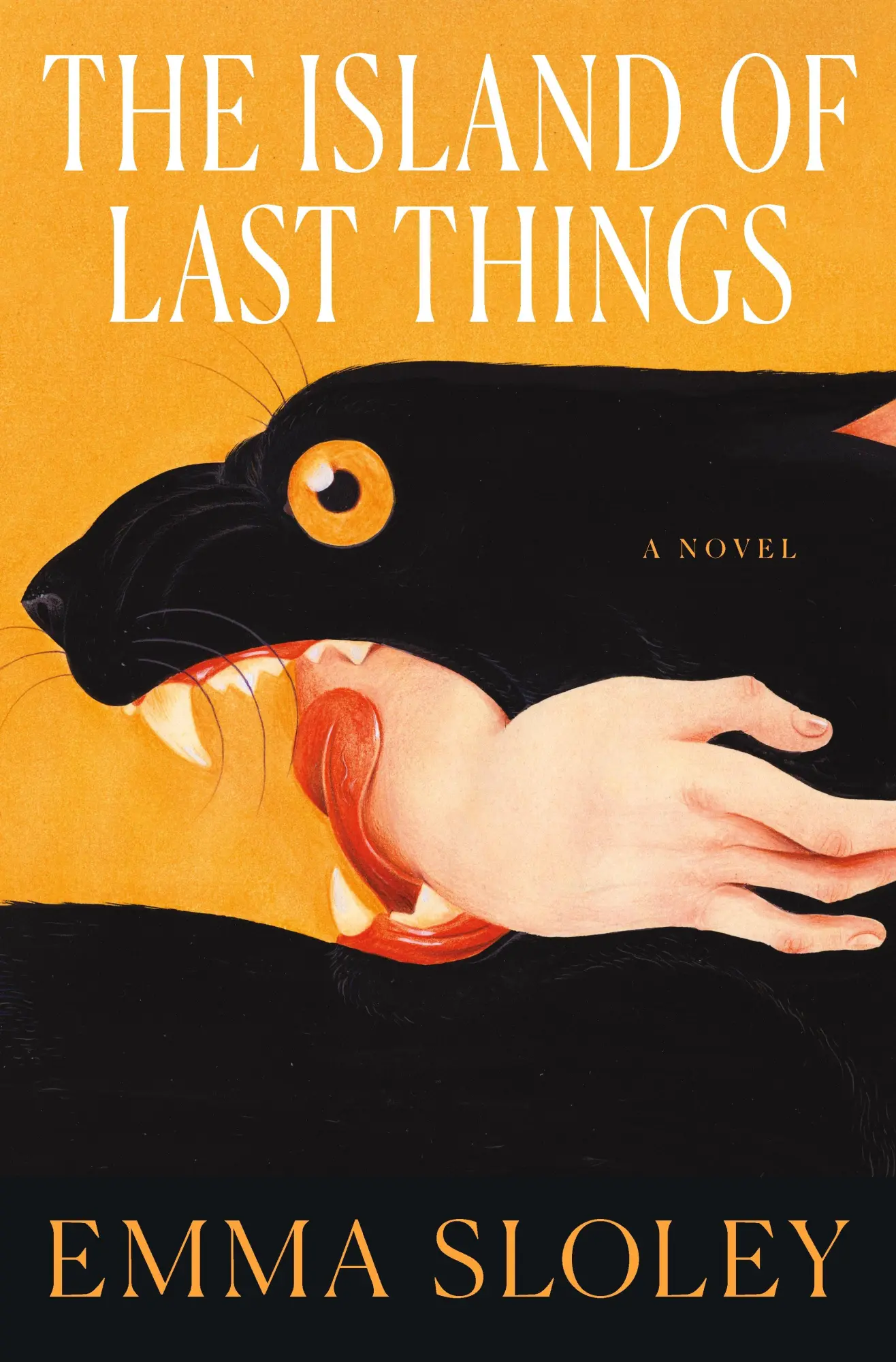 Cover: 9781250329240 | Island of Last Things | A Novel | Emma Sloley | Buch | Englisch | 2025