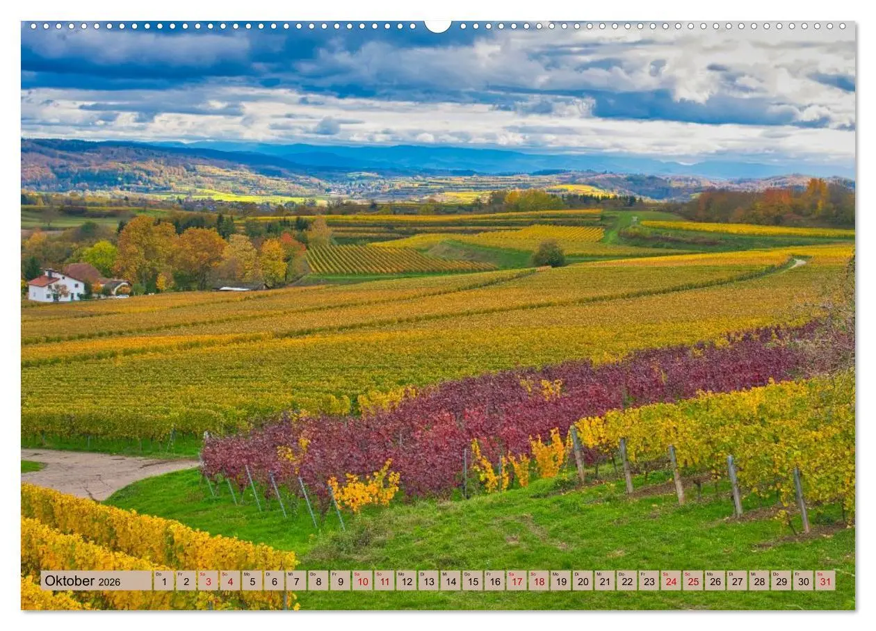 Bild: 9783457449240 | Ortenau - die badische Toskana (hochwertiger Premium Wandkalender...