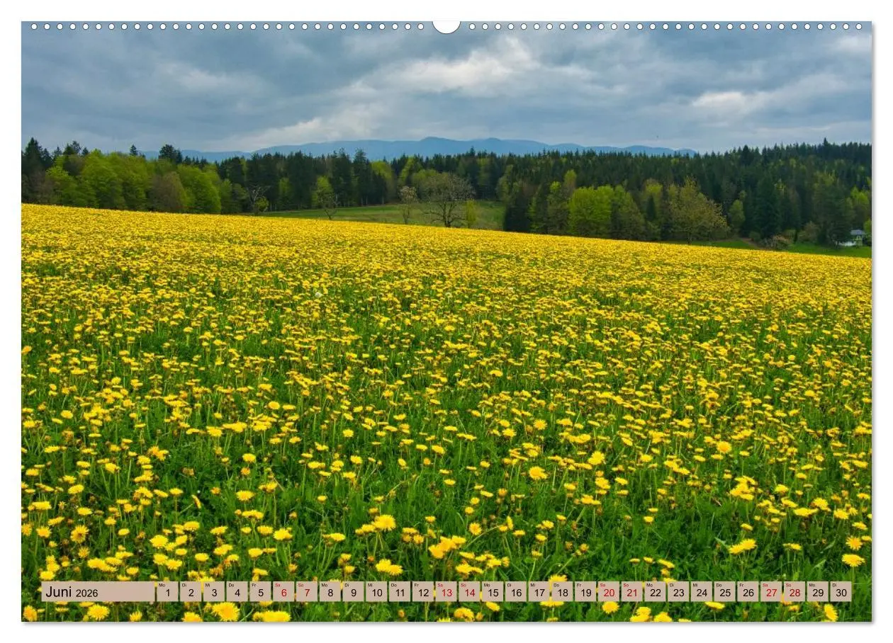 Bild: 9783457449240 | Ortenau - die badische Toskana (hochwertiger Premium Wandkalender...