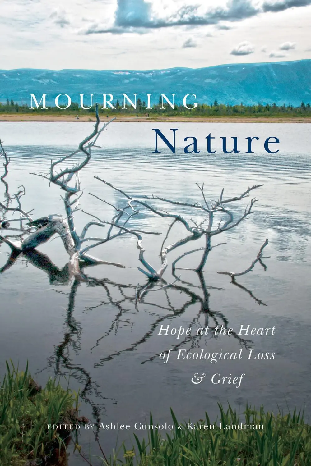 Cover: 9780773549340 | Mourning Nature: Hope at the Heart of Ecological Loss and Grief | Buch