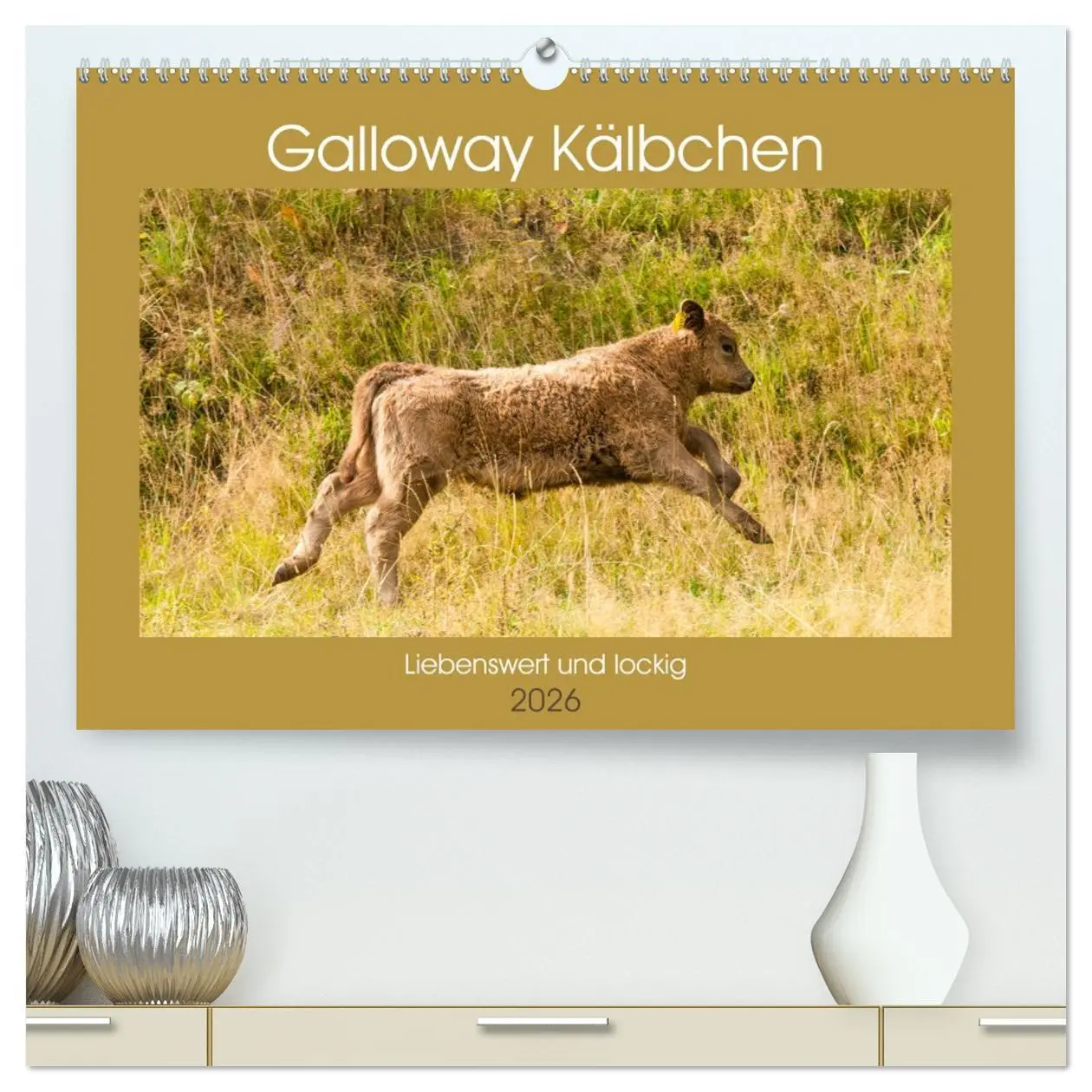 Cover: 9783457679340 | Galloway Kälbchen - Liebenswert und lockig (hochwertiger Premium...