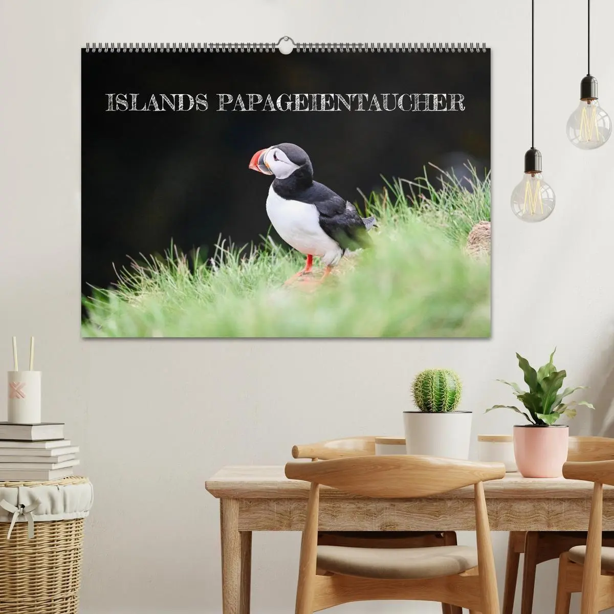 Bild: 9783516689440 | Islands Papageientaucher (Wandkalender 2026 DIN A2 quer), CALVENDO...