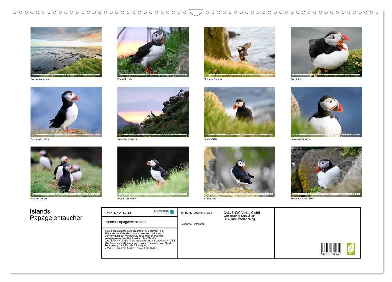 Bild: 9783516689440 | Islands Papageientaucher (Wandkalender 2026 DIN A2 quer), CALVENDO...