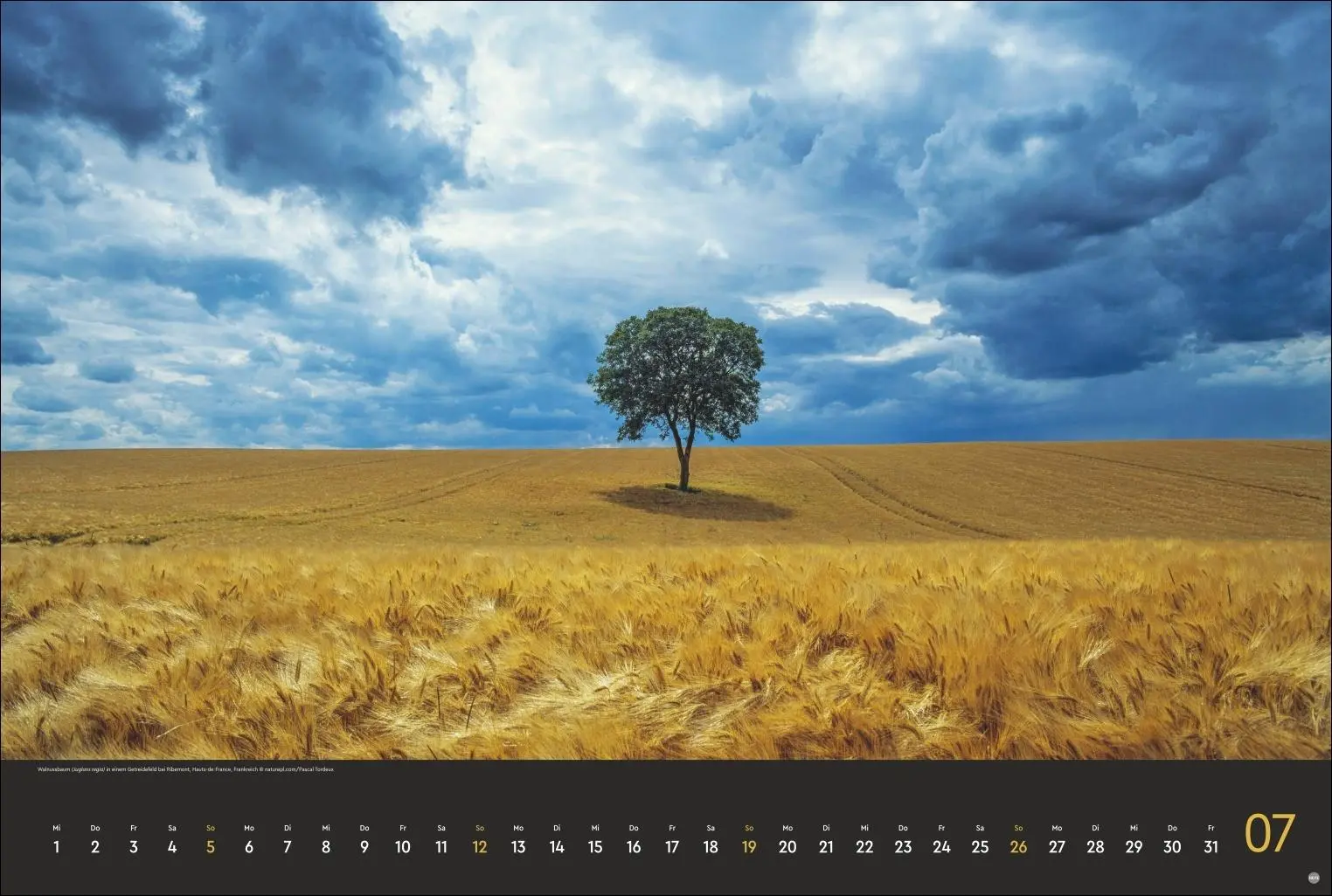 Bild: 9783756409440 | Horizonte Kalender 2026 | Heye | Kalender | Spiralbindung | 15 S.