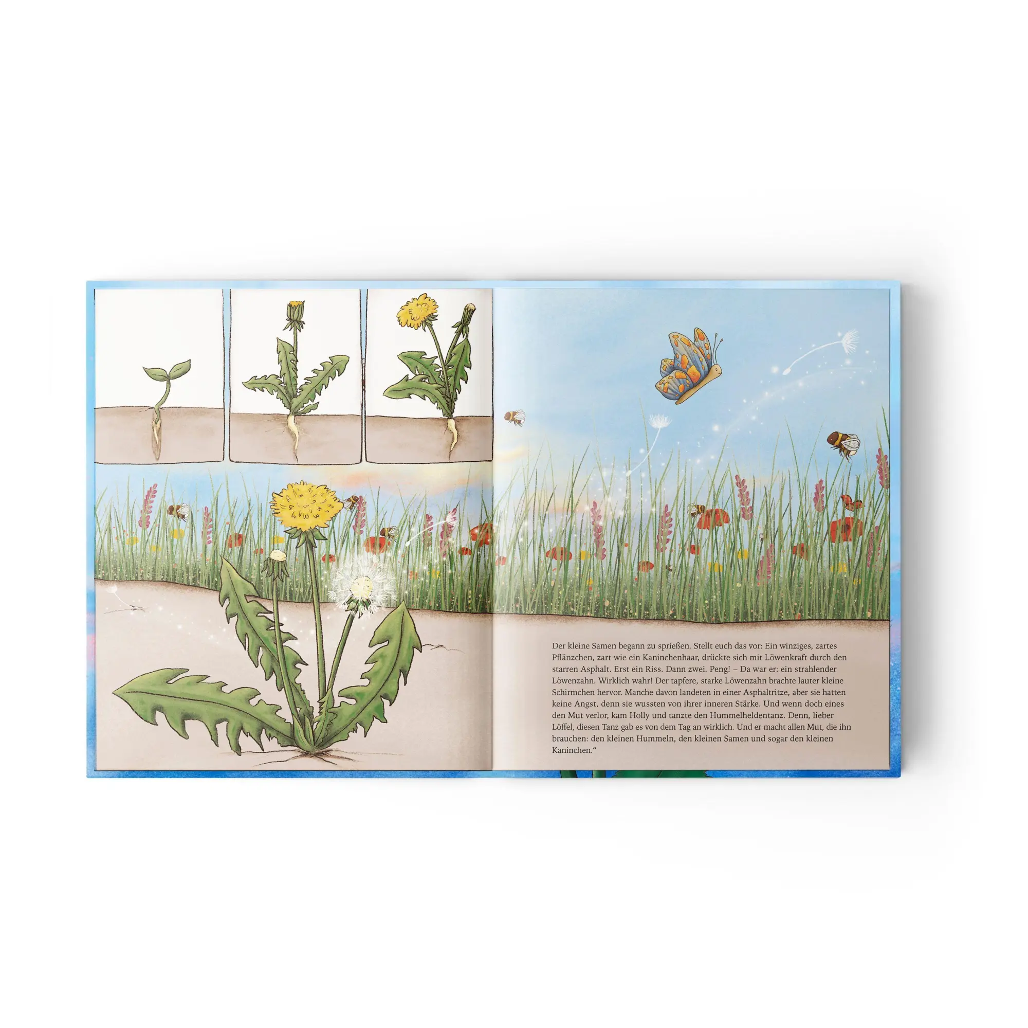 Bild: 9783949239540 | Holly Hummelheldin | Vanessa Lock (u. a.) | Buch | 32 S. | Deutsch