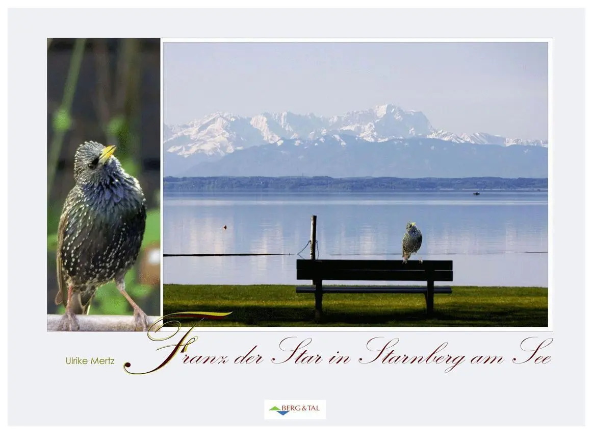 Cover: 9783939499640 | Franz der Star in Starnberg am See | Ulrike Mertz | Buch | 176 S.