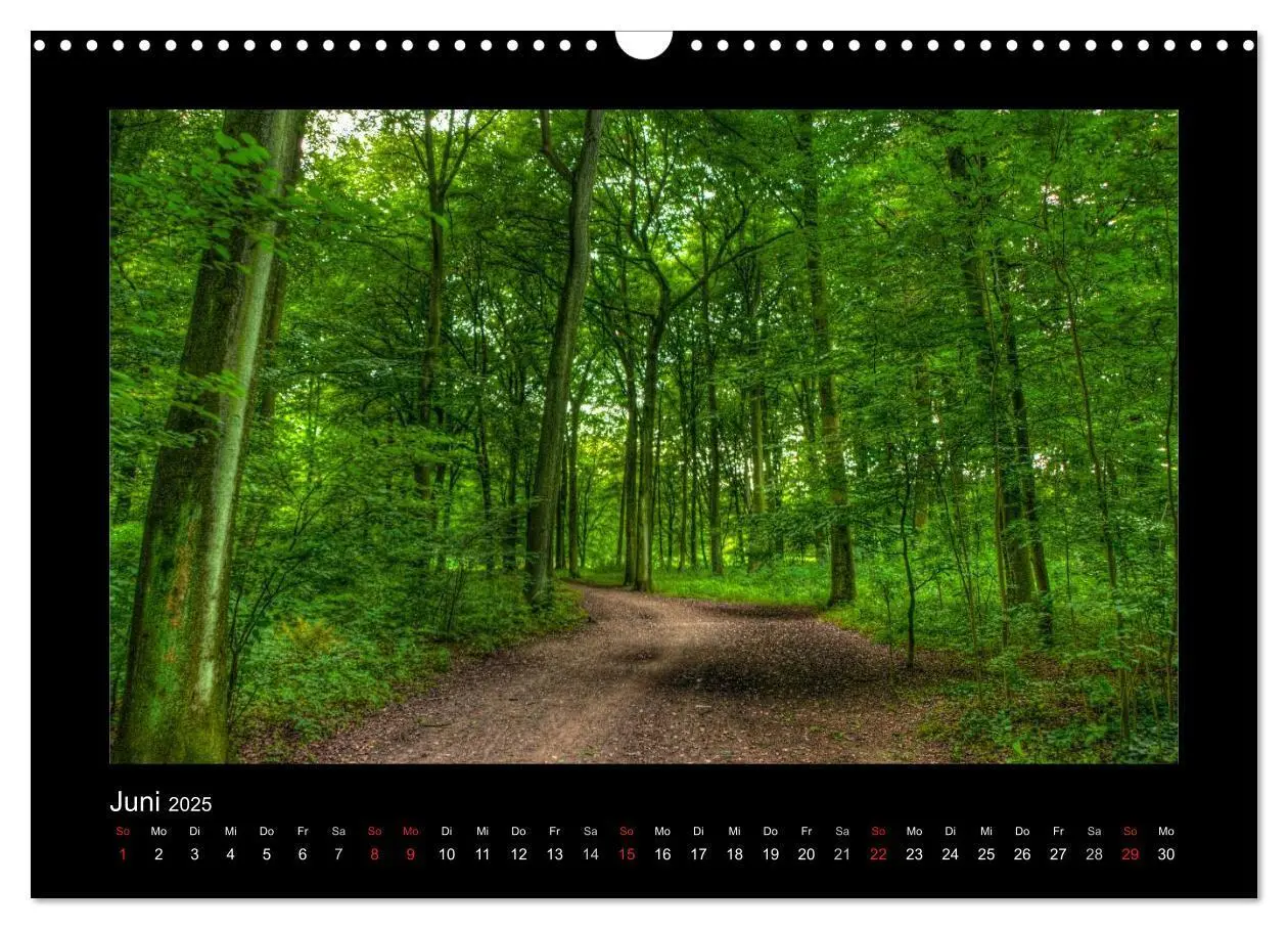 Bild: 9783435789740 | Landschaften im besonderen Licht (Wandkalender 2025 DIN A3 quer),...
