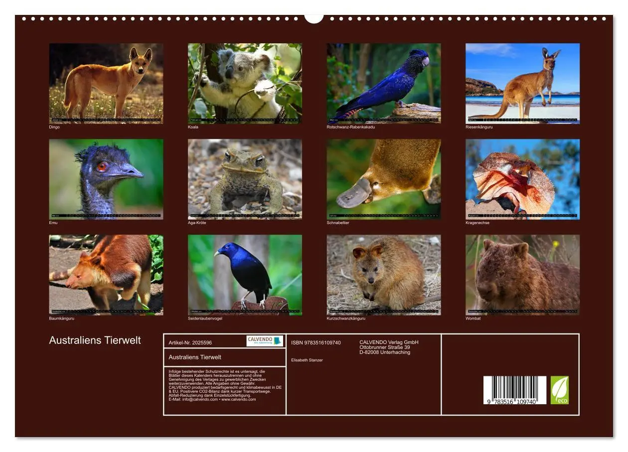 Bild: 9783516109740 | Australiens Tierwelt (hochwertiger Premium Wandkalender 2026 DIN A2...