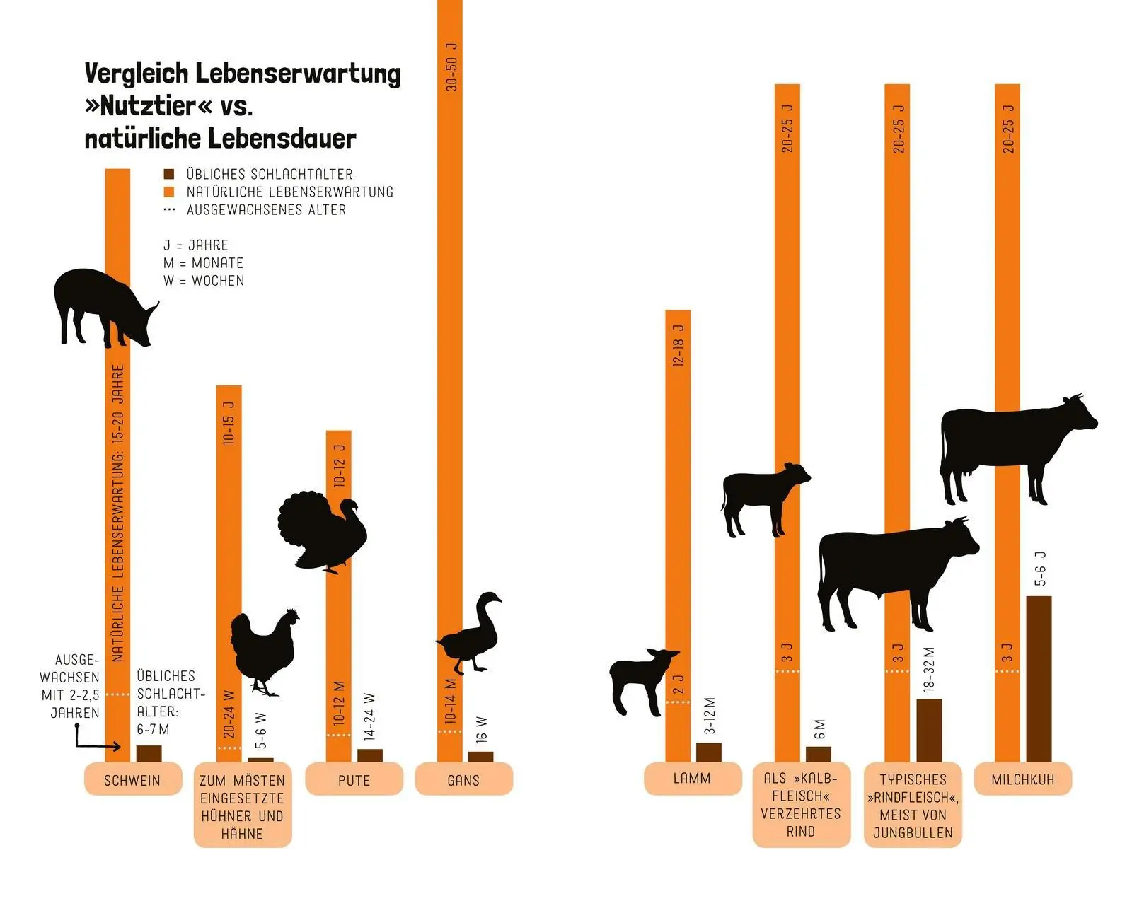Bild: 9783737359740 | Tiere wollen leben! | Hilal Sezgin | Taschenbuch | 272 S. | Deutsch