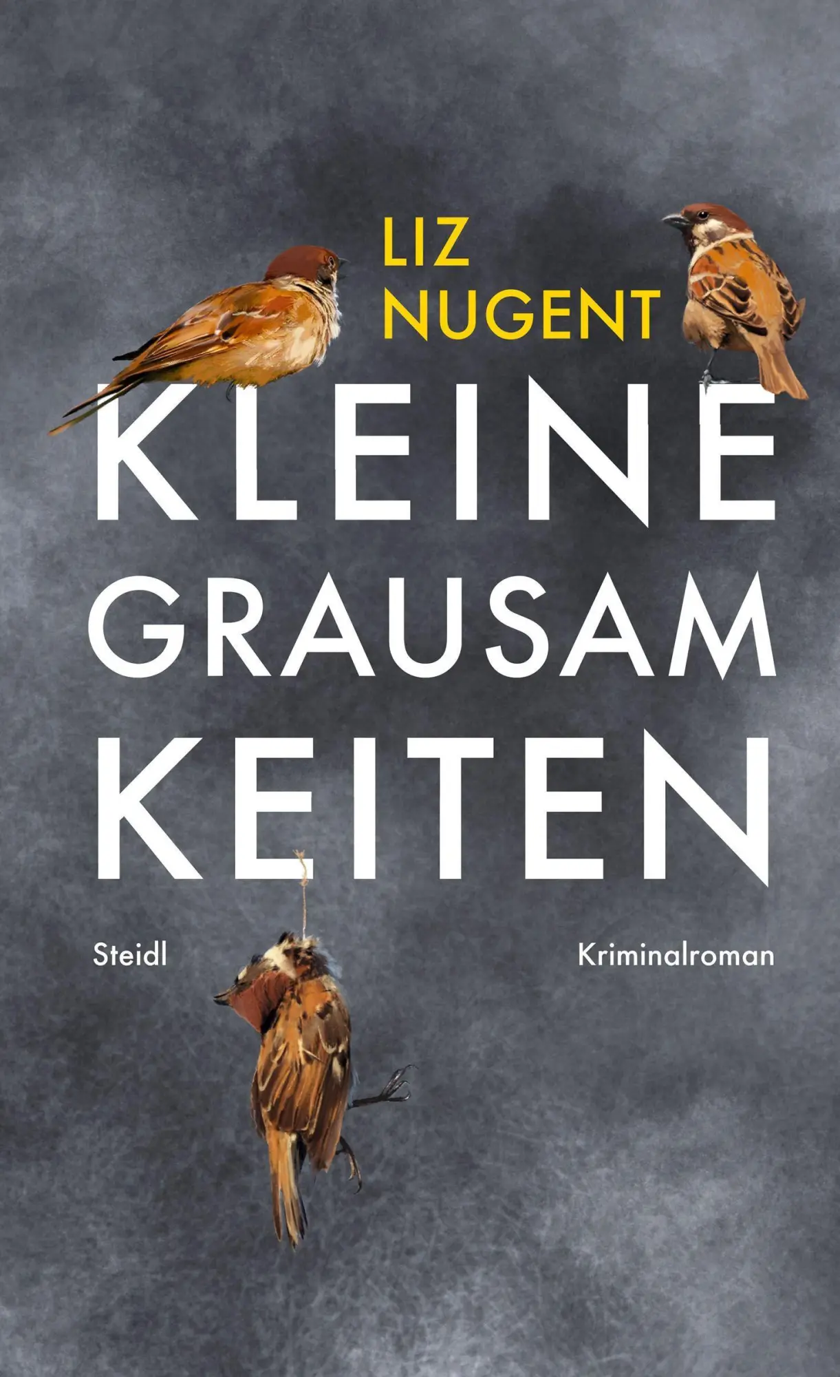 Cover: 9783958299740 | Kleine Grausamkeiten | Liz Nugent | Buch | 400 S. | Deutsch | 2021