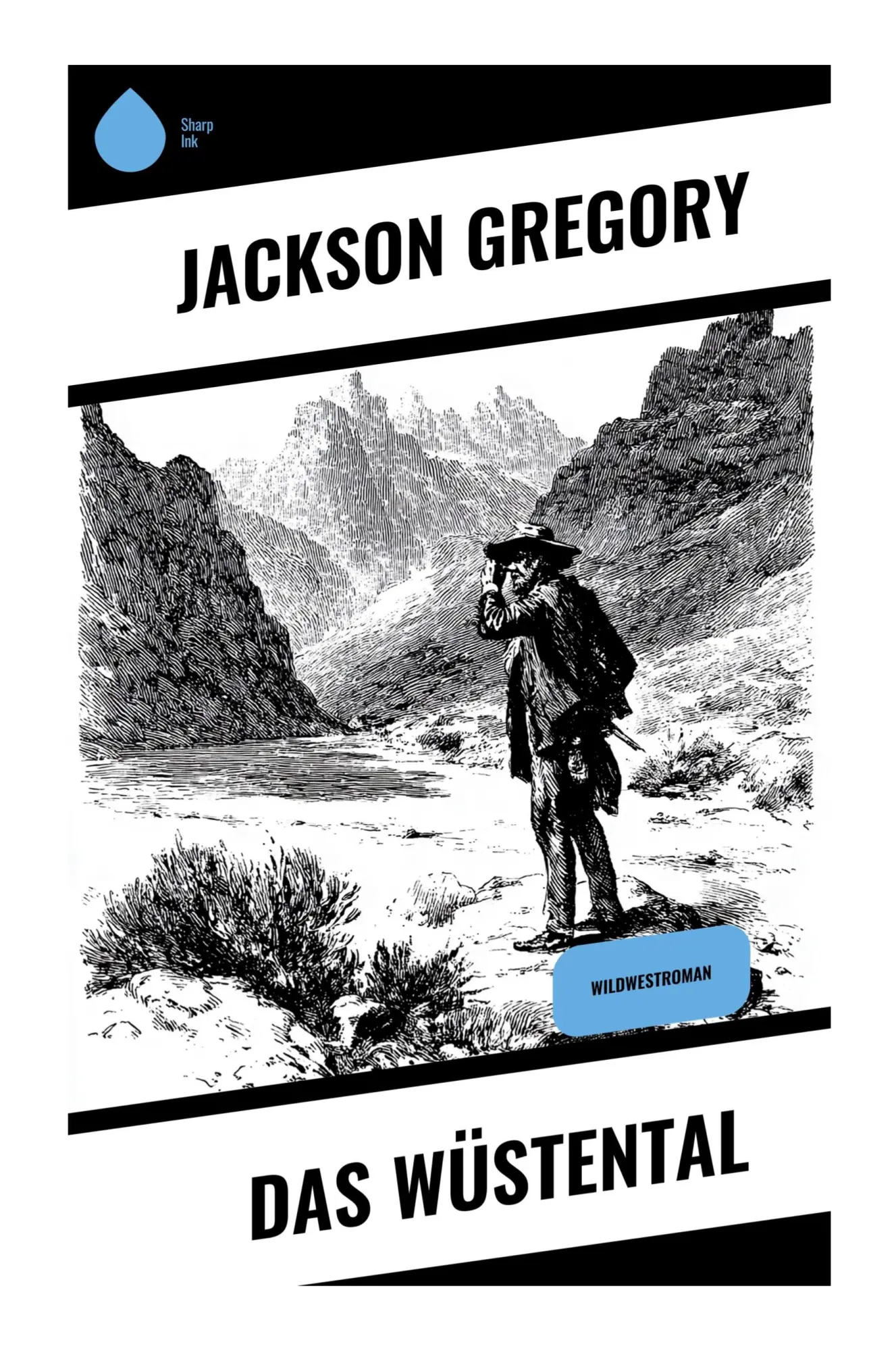 Cover: 9788028399740 | Das Wüstental | Wildwestroman | Jackson Gregory | Taschenbuch | 148 S.