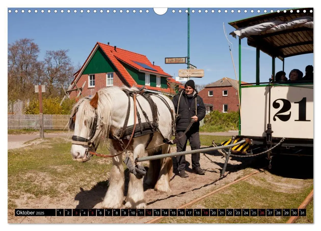 Bild: 9783435609840 | Insel Spiekeroog (Wandkalender 2025 DIN A3 quer), CALVENDO...