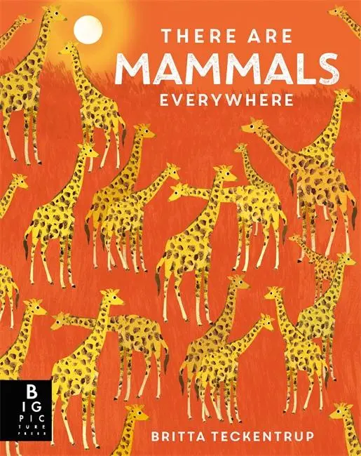 Cover: 9781787419940 | There are Mammals Everywhere | Camilla De La Bedoyere | Buch | 2022