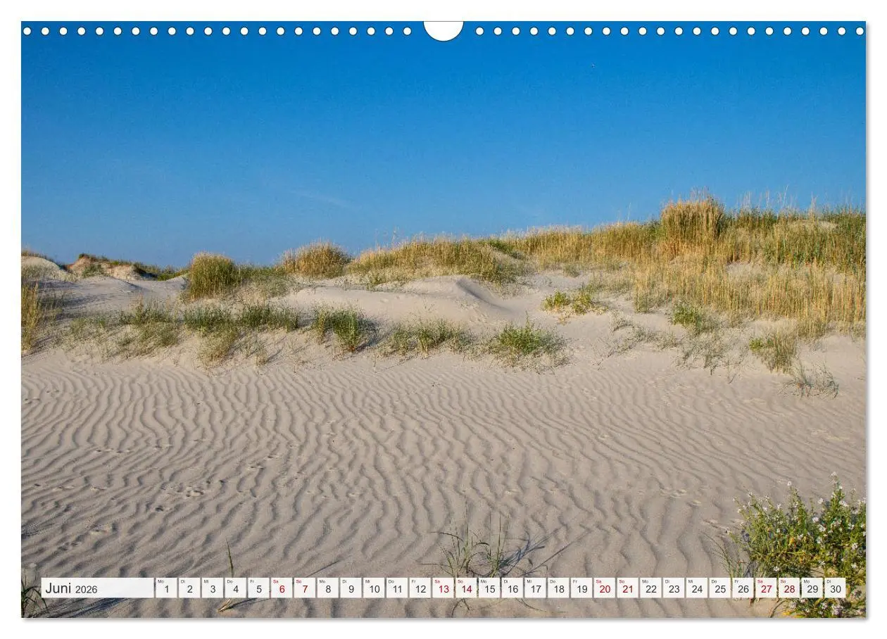 Bild: 9783457619940 | Urlaub in Nordfriesland (Wandkalender 2026 DIN A3 quer), CALVENDO...