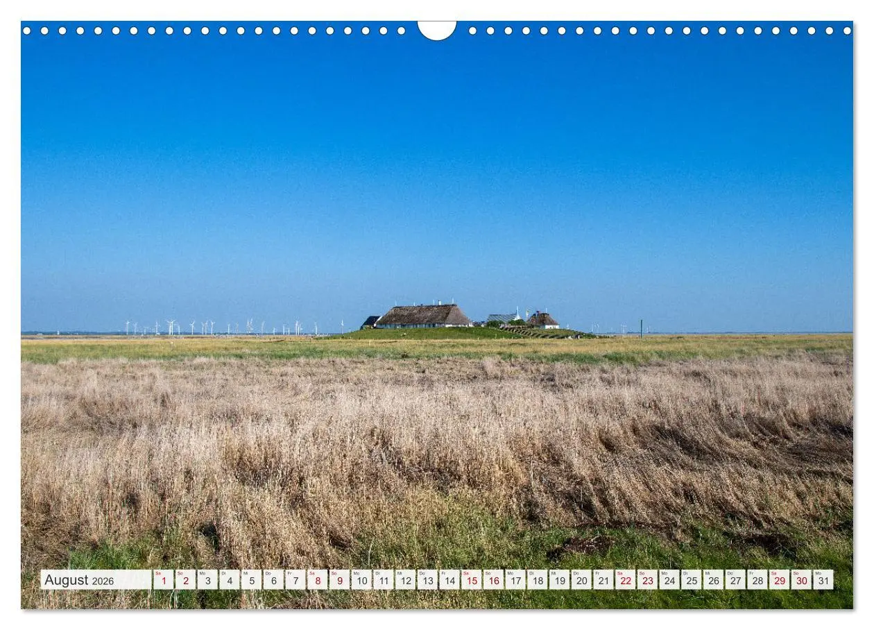Bild: 9783457619940 | Urlaub in Nordfriesland (Wandkalender 2026 DIN A3 quer), CALVENDO...