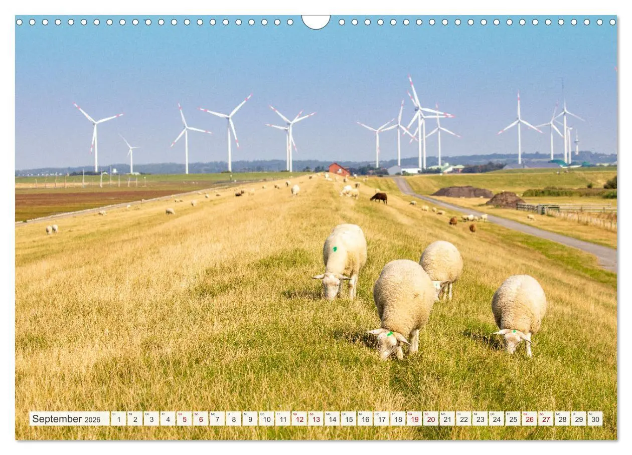 Bild: 9783457619940 | Urlaub in Nordfriesland (Wandkalender 2026 DIN A3 quer), CALVENDO...