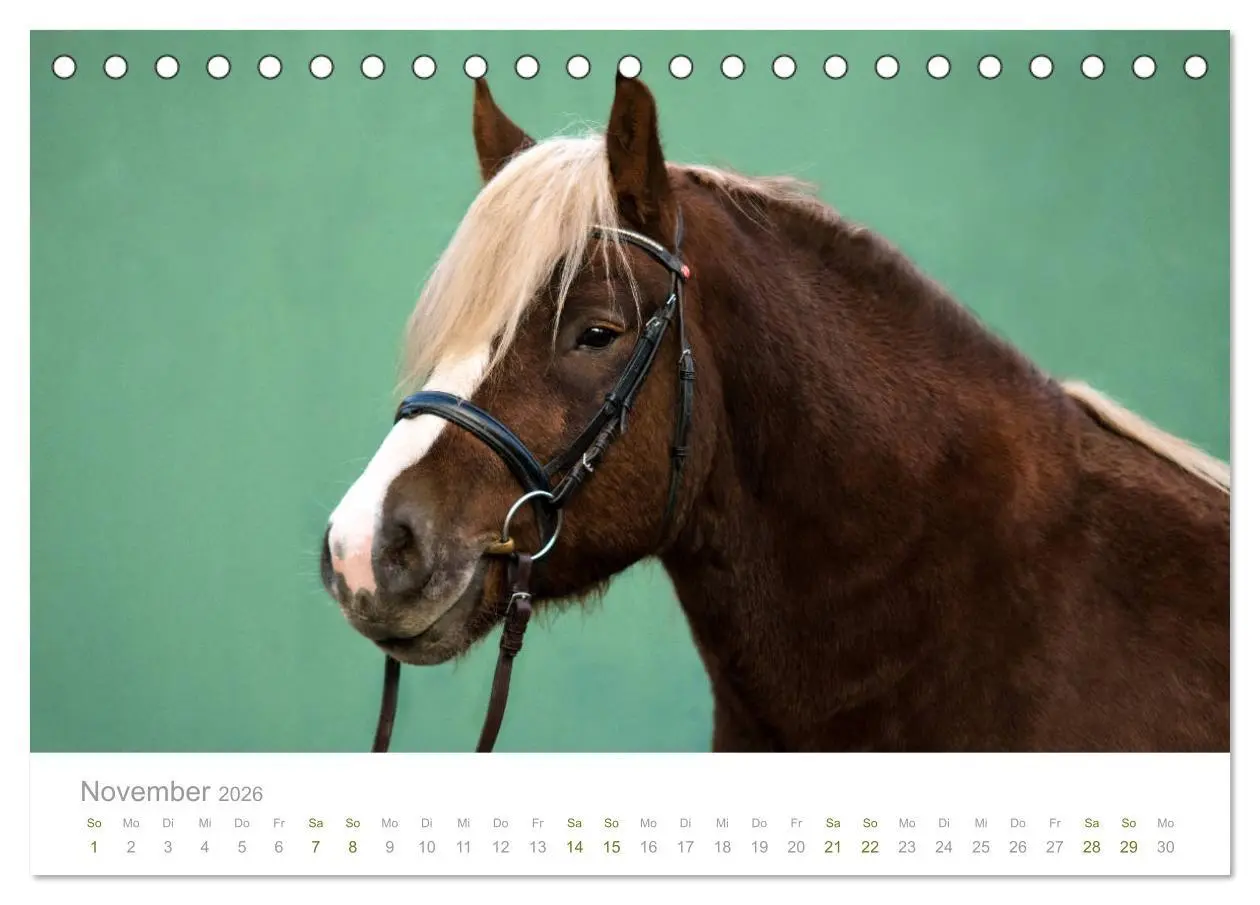 Bild: 9783457730041 | Faszination und Vielfalt - Schwarzwälder Kaltblut (Tischkalender...