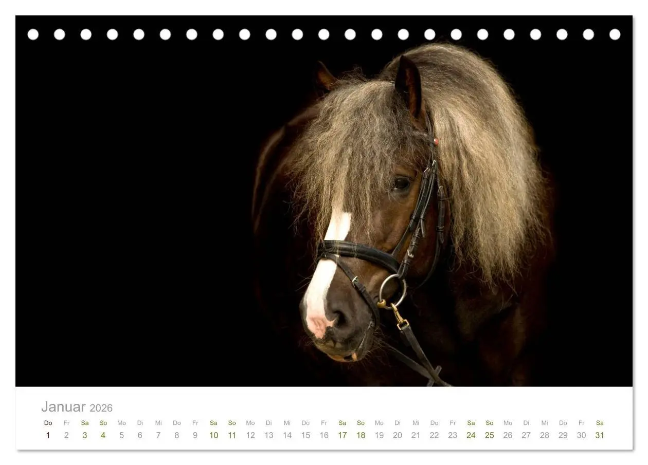 Bild: 9783457730041 | Faszination und Vielfalt - Schwarzwälder Kaltblut (Tischkalender...