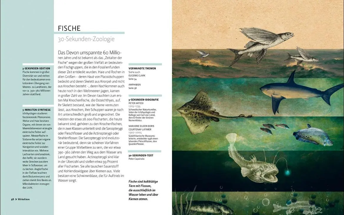 Bild: 9789464990041 | Zoologie in 30 Sekunden | Mark Fellowes | Buch | 160 S. | Deutsch