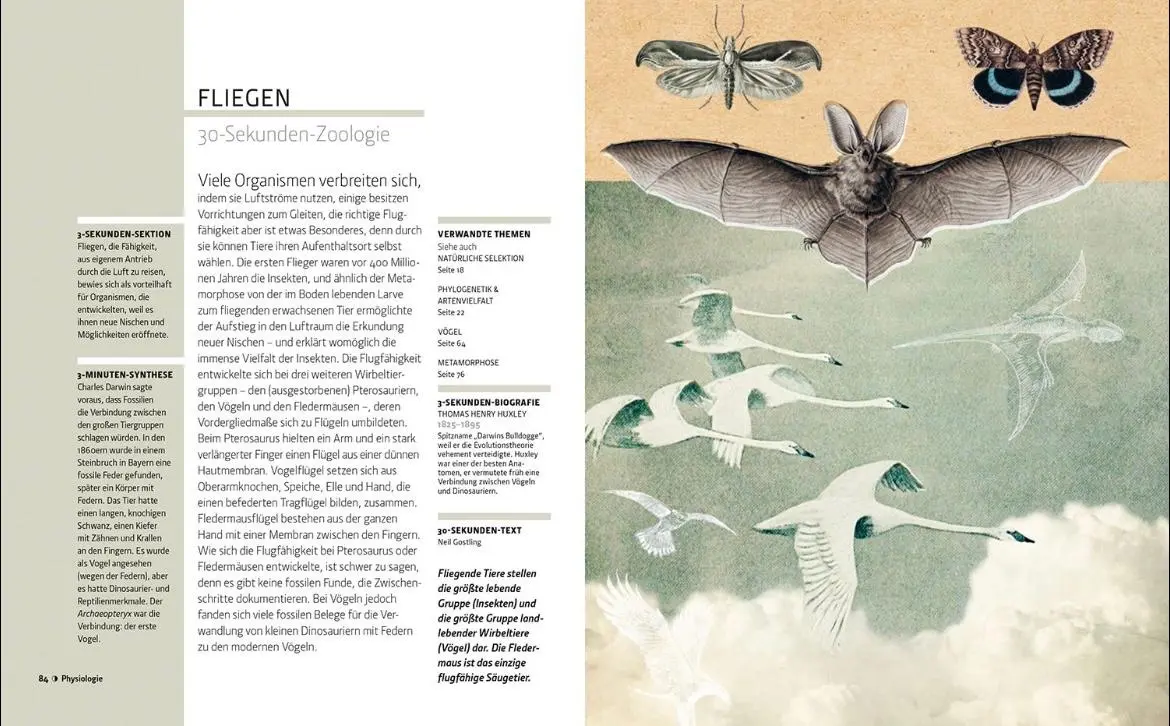 Bild: 9789464990041 | Zoologie in 30 Sekunden | Mark Fellowes | Buch | 160 S. | Deutsch