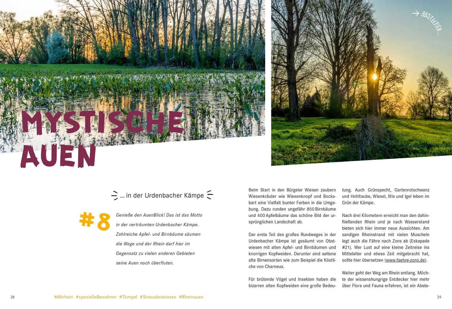 Bild: 9783616110141 | 52 kleine &amp; große Eskapaden in und um Düsseldorf | Ab nach draußen!