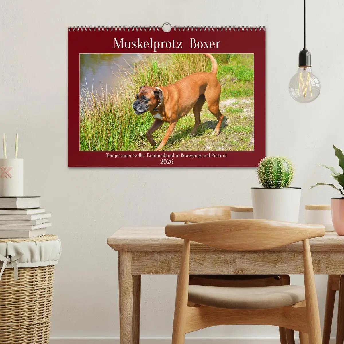Bild: 9783457570241 | Muskelprotz Boxer (Wandkalender 2026 DIN A3 quer), CALVENDO...