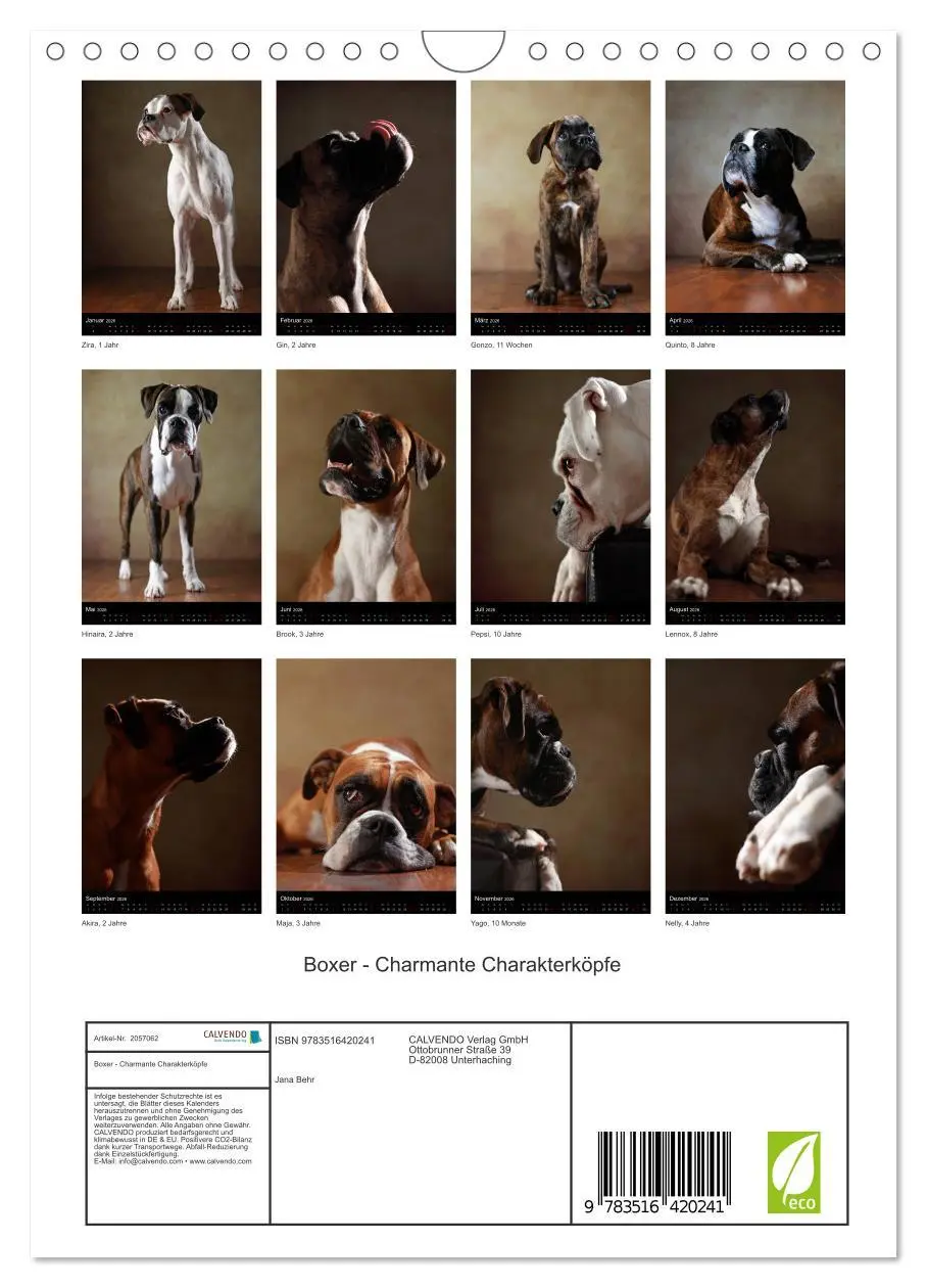Bild: 9783516420241 | Boxer - Charmante Charakterköpfe (Wandkalender 2026 DIN A4 hoch),...
