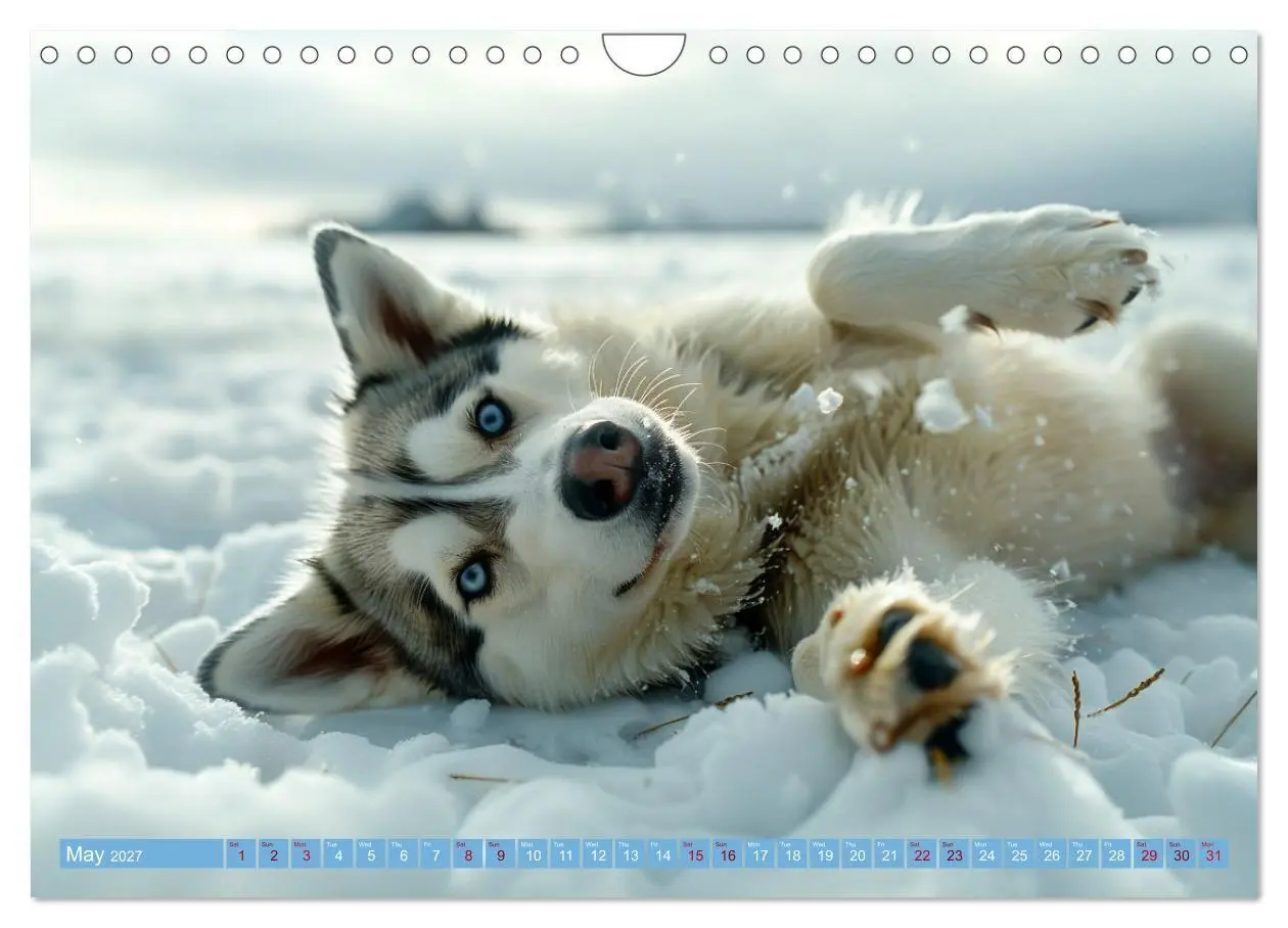 Bild: 9783569130241 | Sled Dogs - the Dream of Running (Wall Calendar 2027 DIN A4...