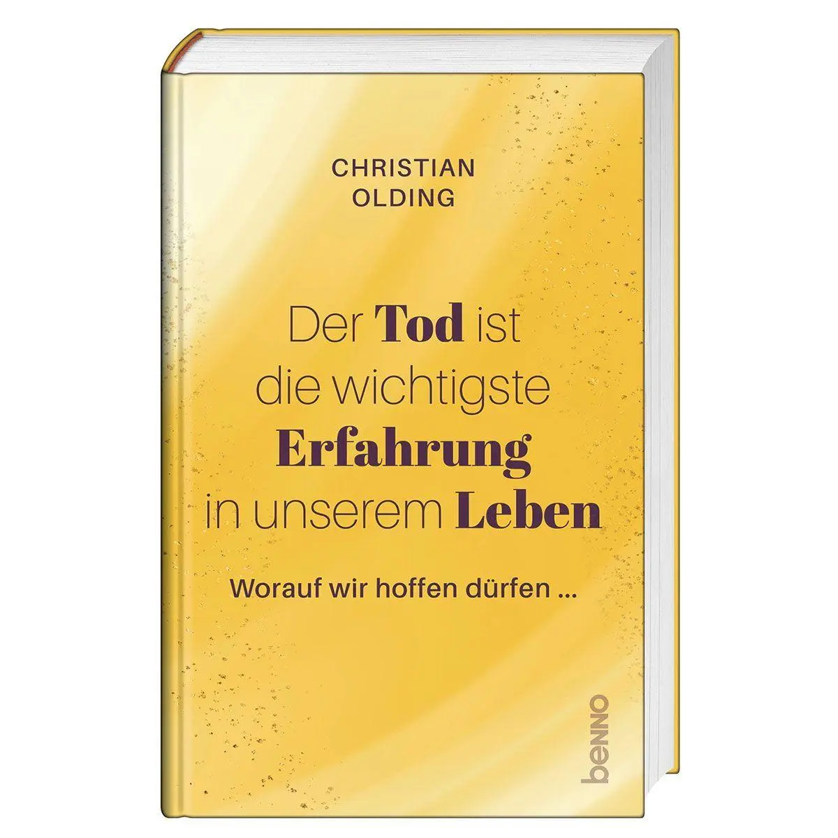 Cover: 9783746270241 | Der Tod ist die wichtigste Erfahrung in unserem Leben | Olding | Buch